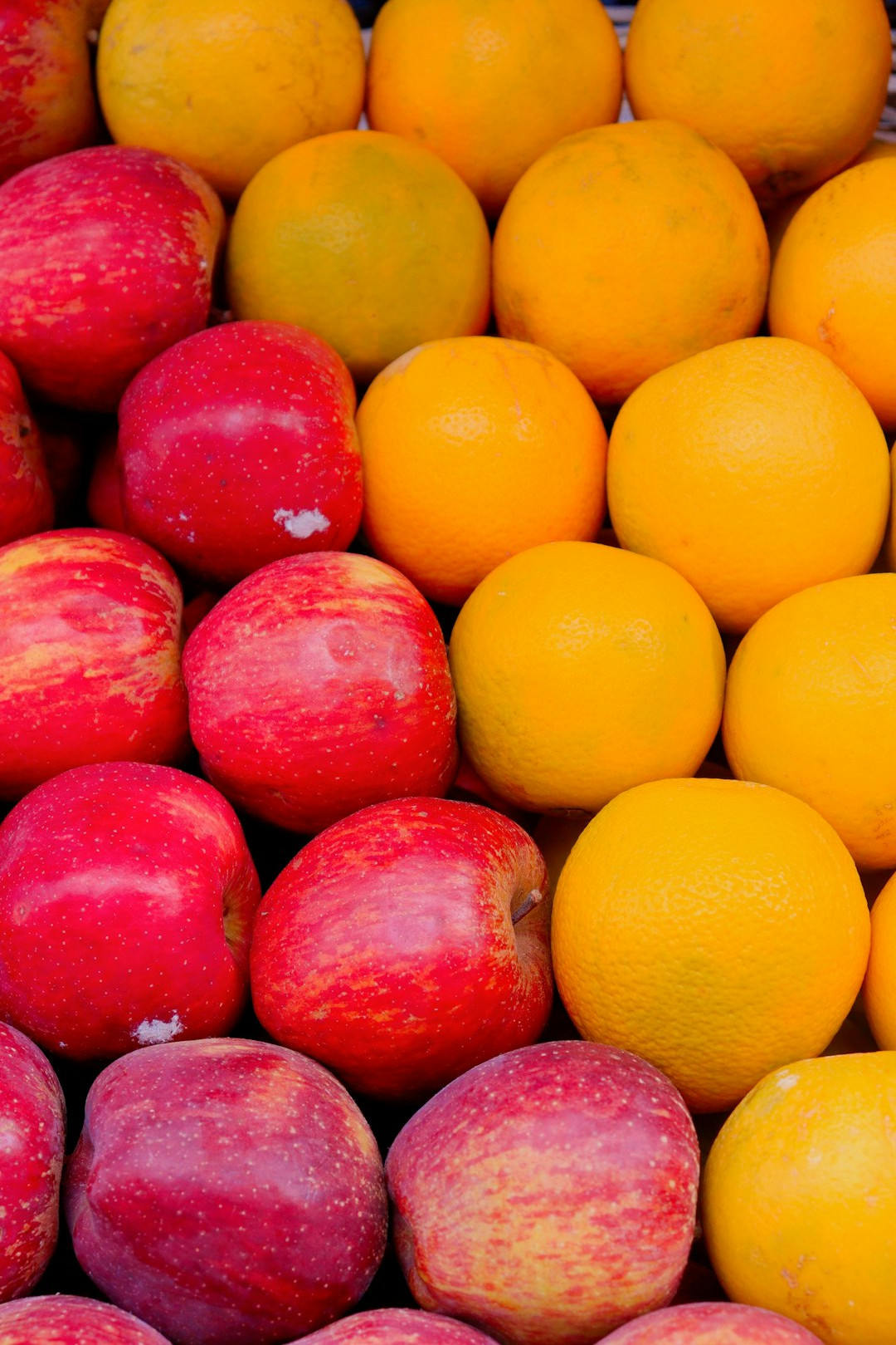 Proteína de soja vainilla Proteína de soja vainilla